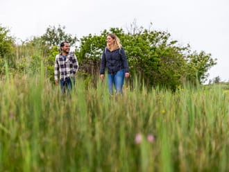 Veenweidepad wandelen