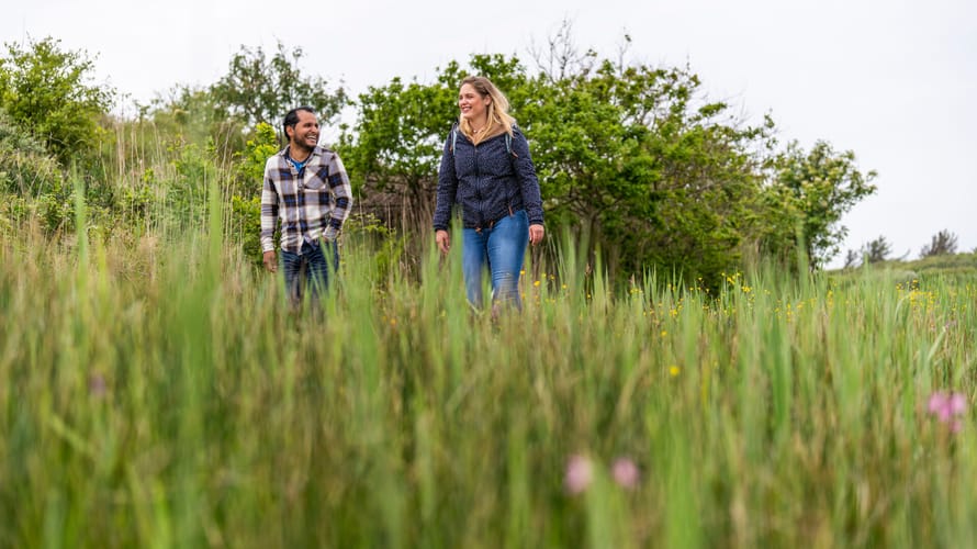 Veenweidepad wandelen