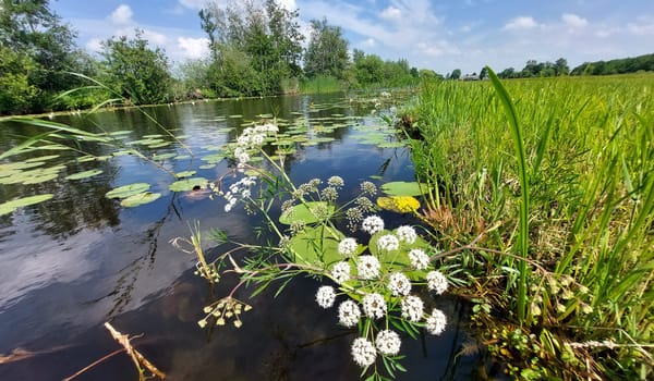 Helder water