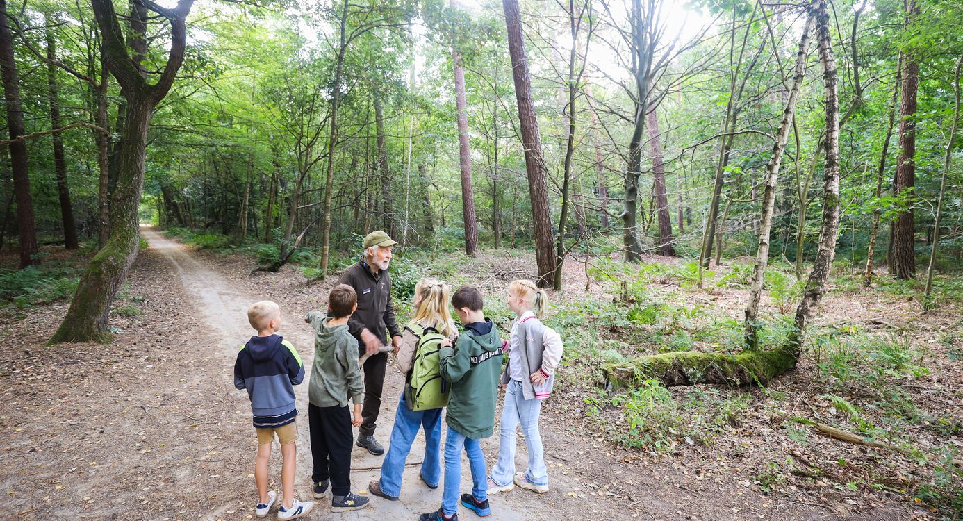 Kinderfeestje in het bos Kinderfeestje in het bos