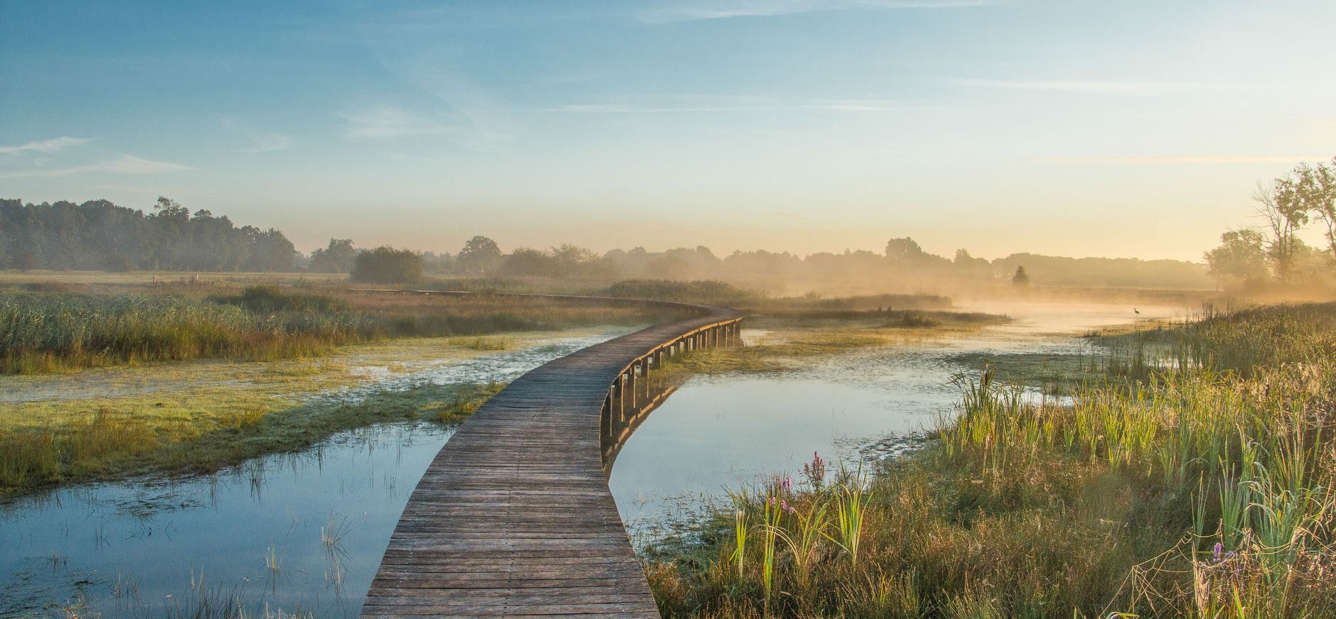 Empese heide