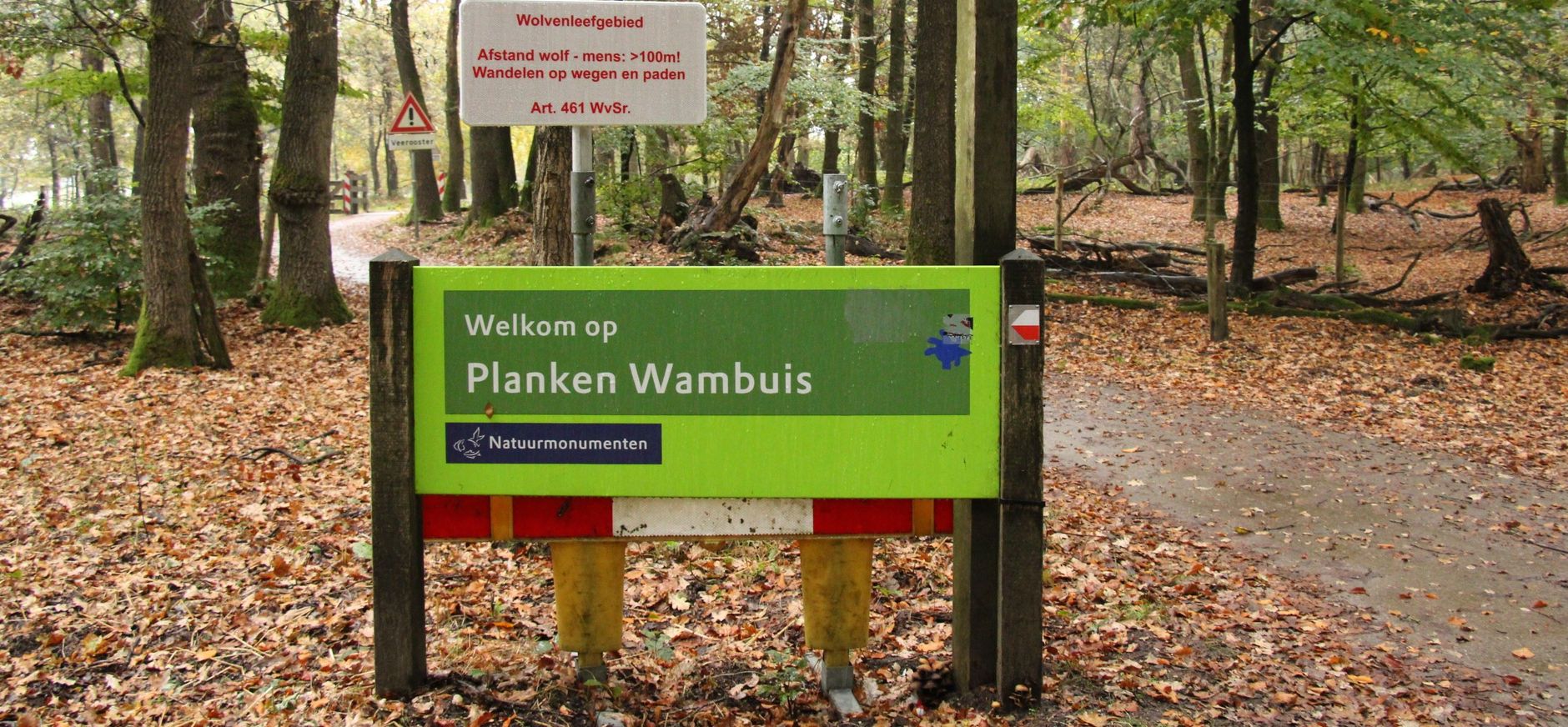Tijdelijke omleidingsroute in Planken Wambuis om wolventoeristen op afstand te houden