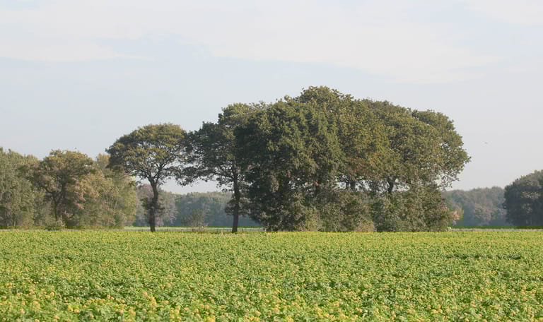 het Norger Esdorpenlandschap