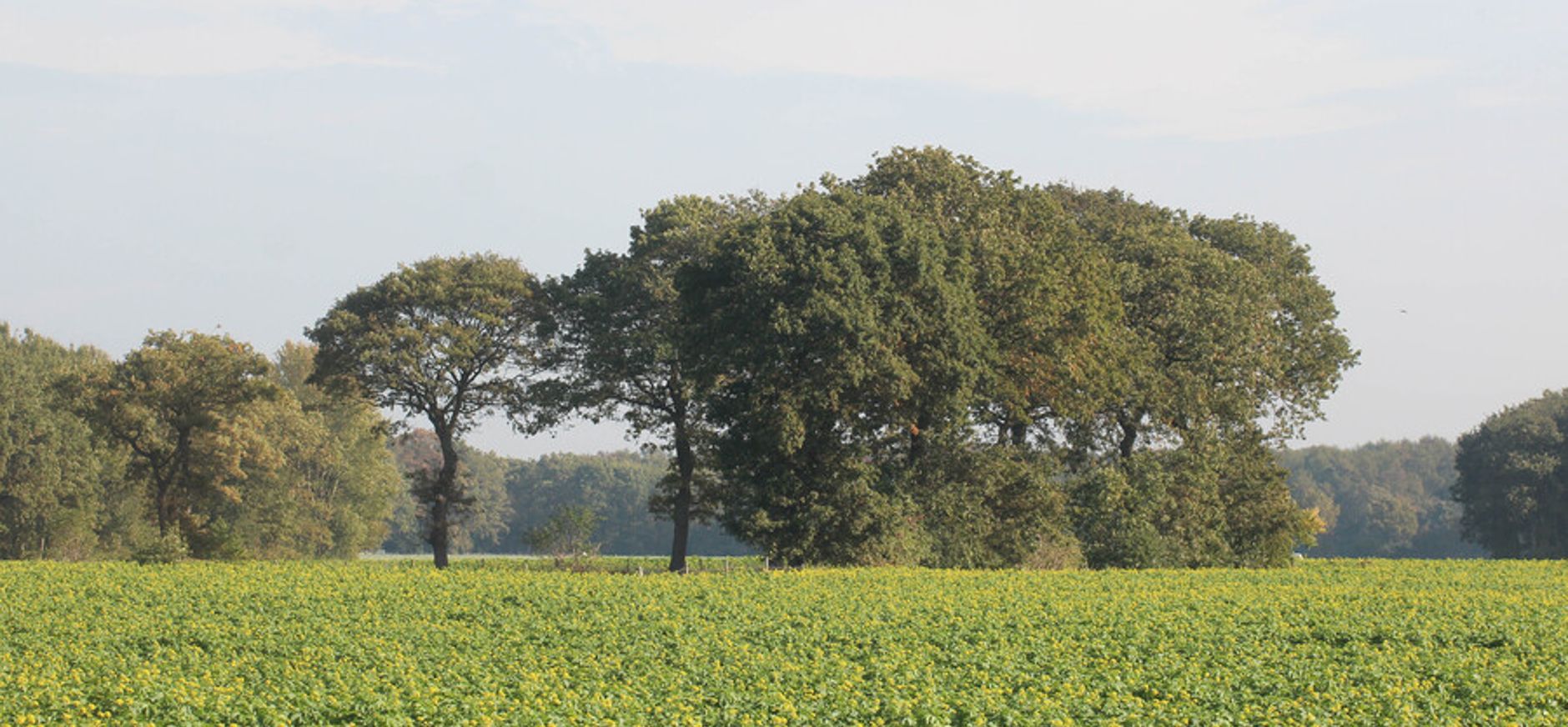 het Norger Esdorpenlandschap