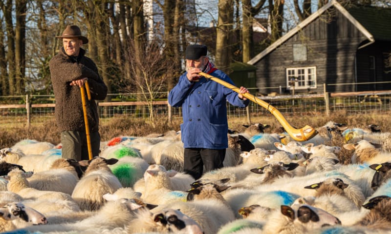 midwinterhoornwandeling 