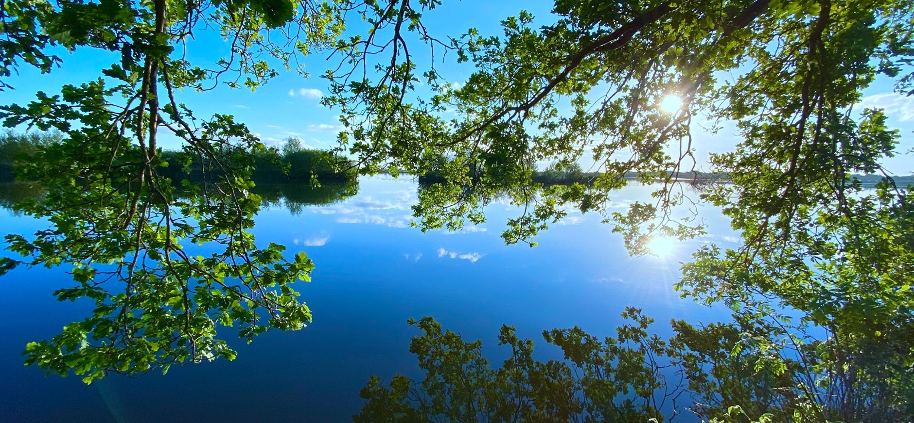 Vechtplassen