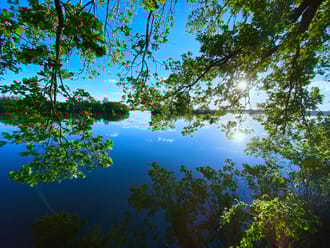 Vechtplassen