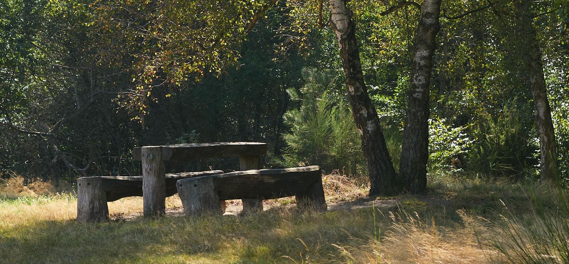 Picknickbank Witte Veen