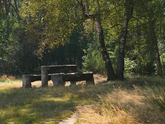 Picknickbank Witte Veen