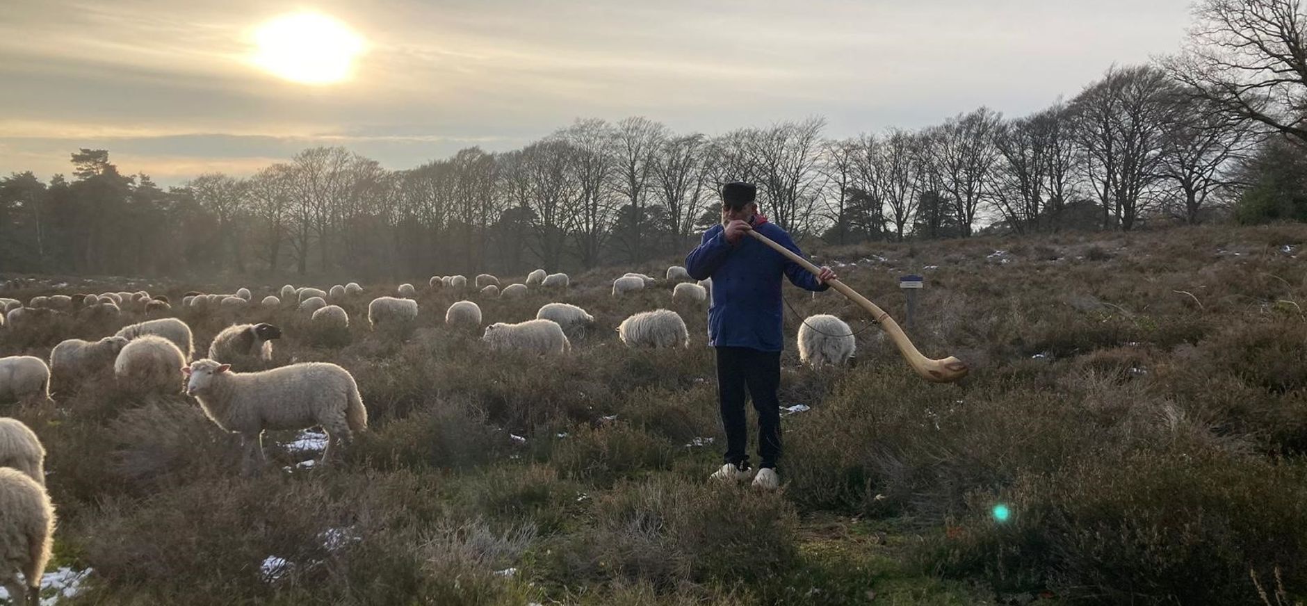 Sprengenberg midwinterhoornblazen 