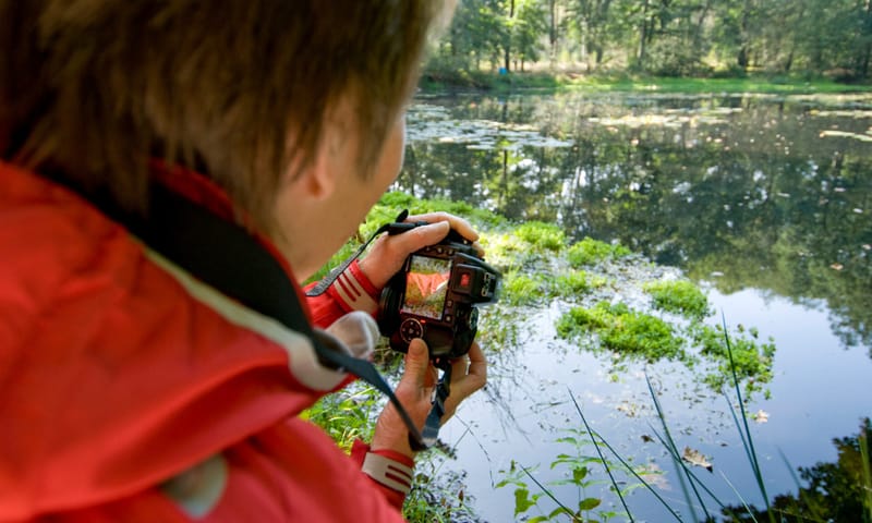 Afbeelding waarop je over de schouder meekijkt met een vrouw die een foto maakt van een ven
