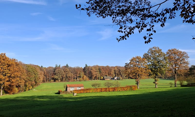 Uitzicht Dassen Hendrik Pad
