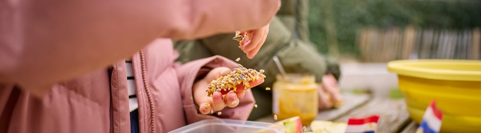 Borrelplank voor vogels