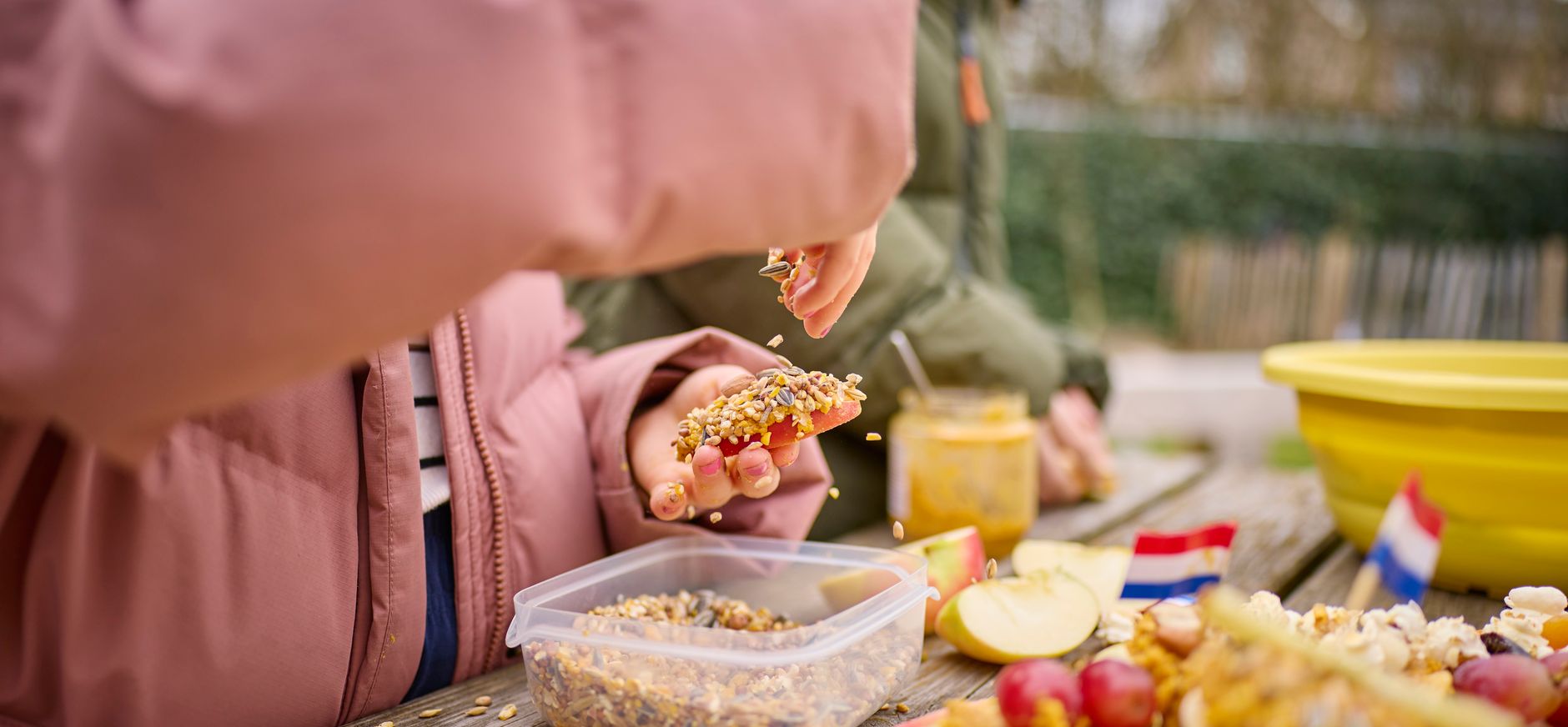 Borrelplank voor vogels