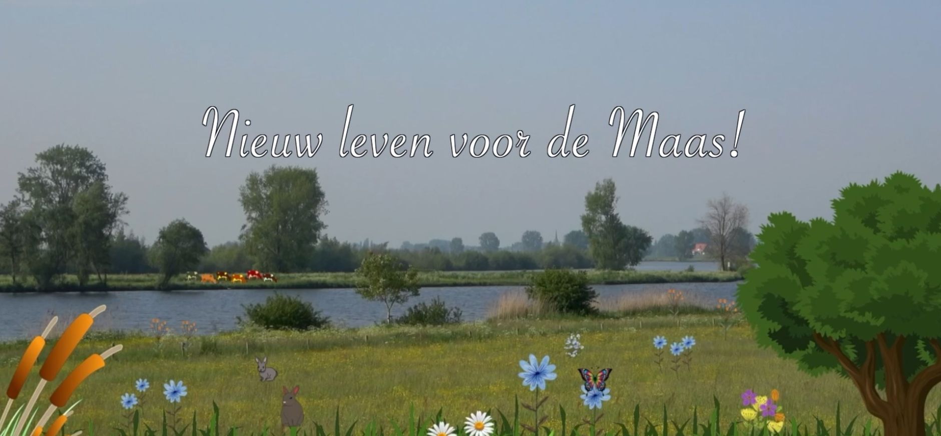 Film Nieuw leven voor de Maas