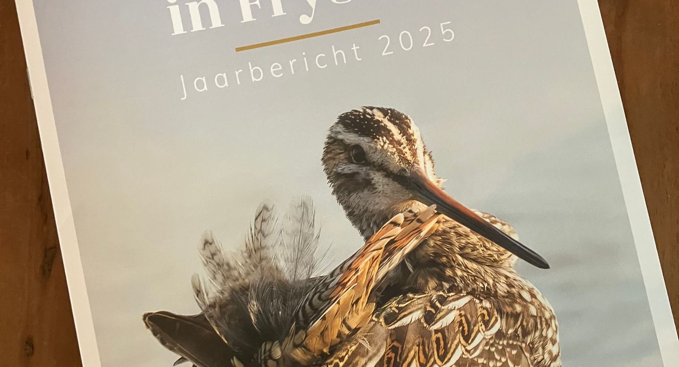 Jaarbericht Weidevogels in Fryslan 2025