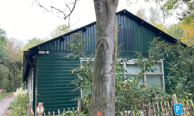 Gebleste es naast de barak van Fort bij Spijkerboor