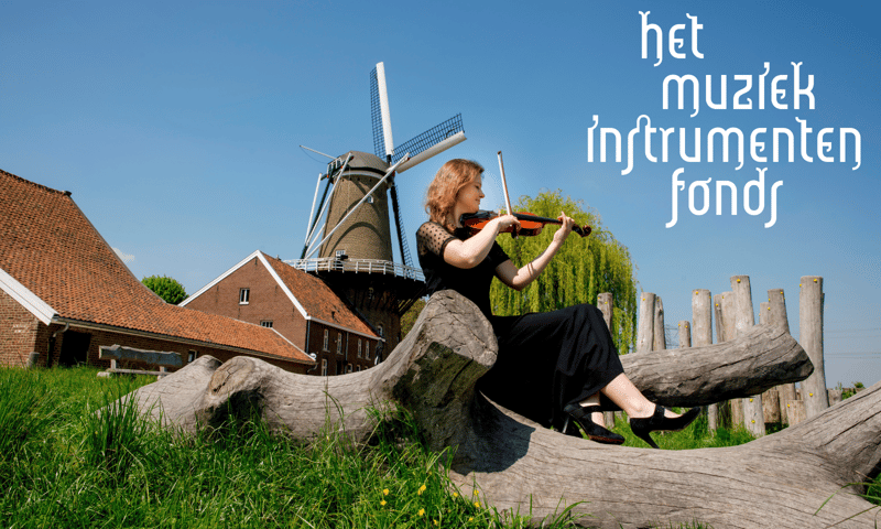 Het Muziekinstrumentenfonds