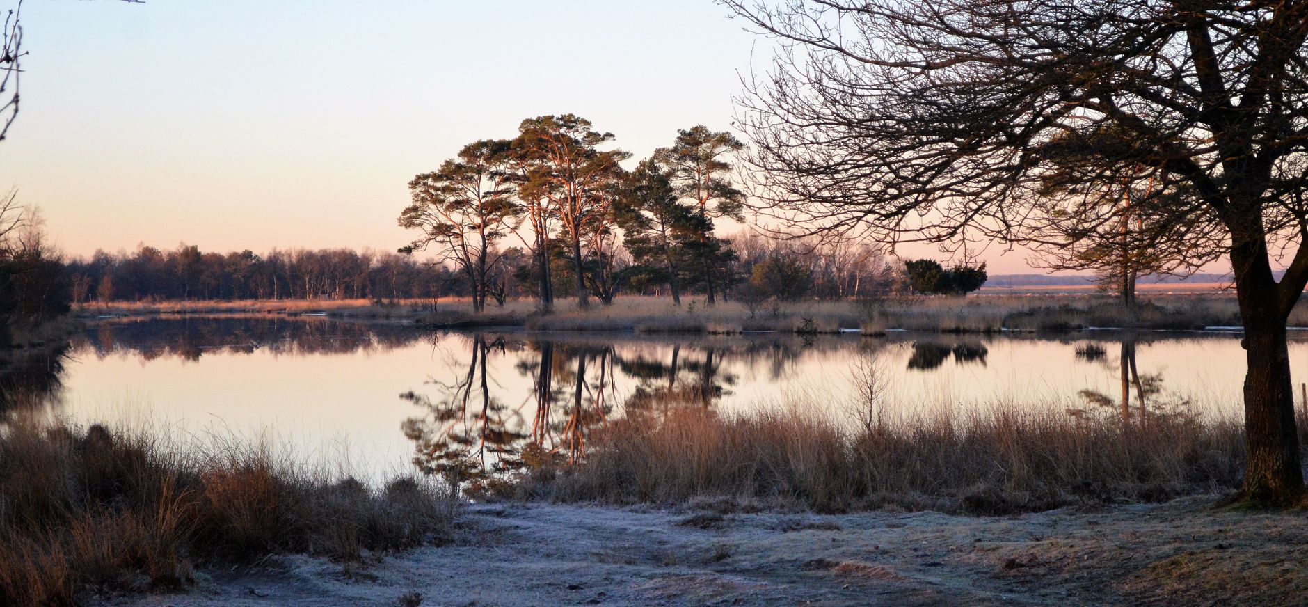 Dwingelderveld
