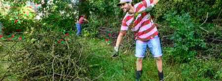 Natuurwerkdag Kaapse Bossen