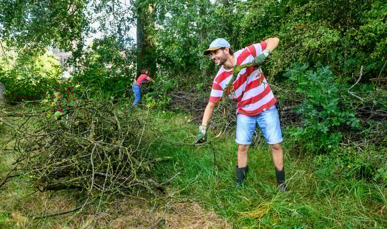 Natuurwerkdag Kaapse Bossen