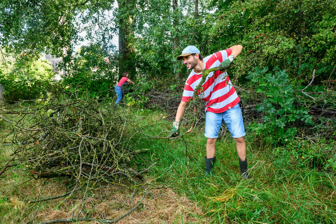 Kom helpen bij de Natuurwerkdagen in de Kaapse Bossen