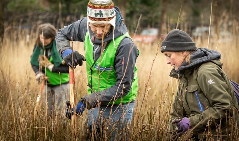 Vrijwilligers aan het werk in het Soesterveen