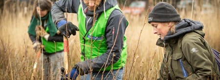 Vrijwilligers aan het werk in het Soesterveen