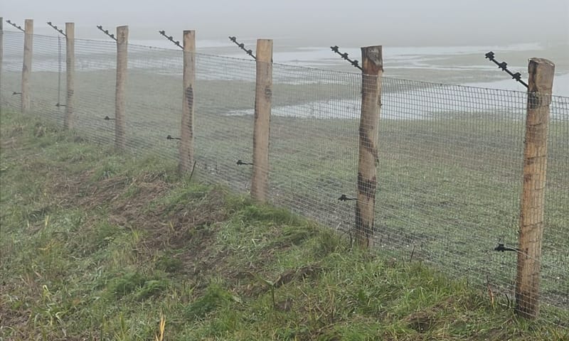 Raster Bantpolder Raster Bantpolder