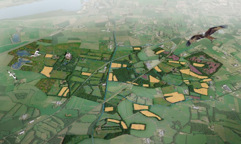 Visie Oldenaller in vogelvlucht