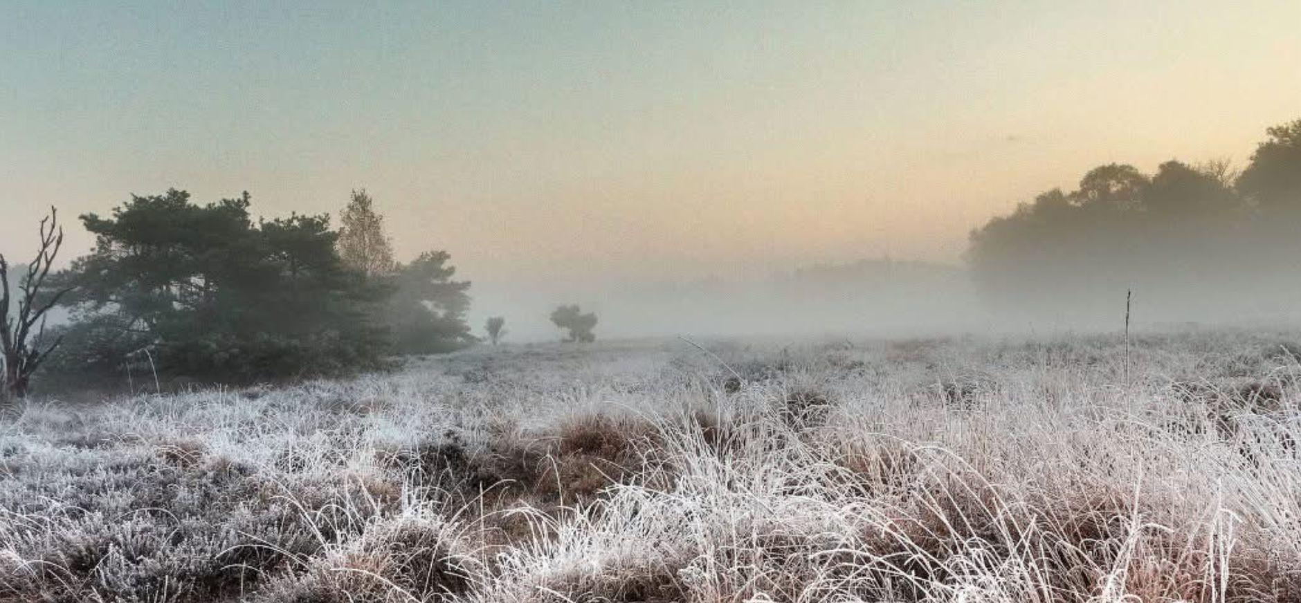 buurserzand winter buurserzand winter