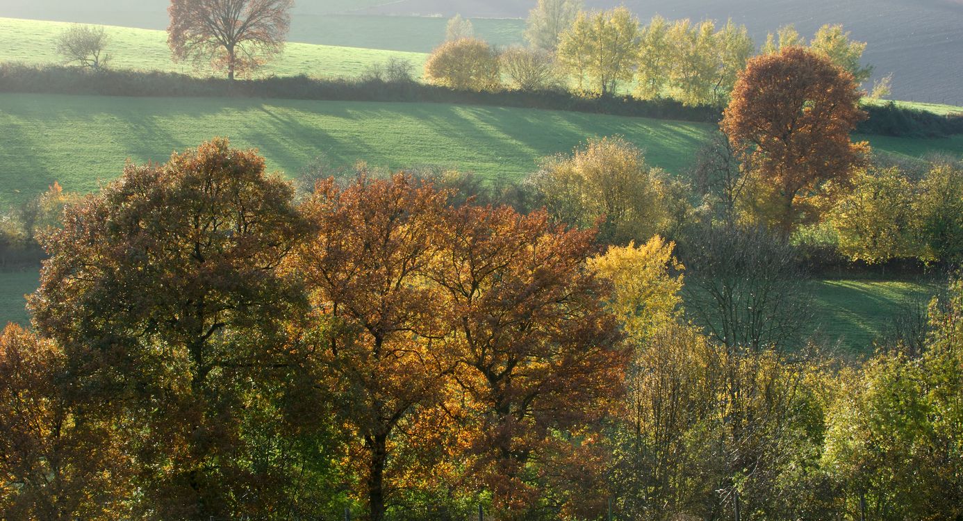 Coulissenlandschap