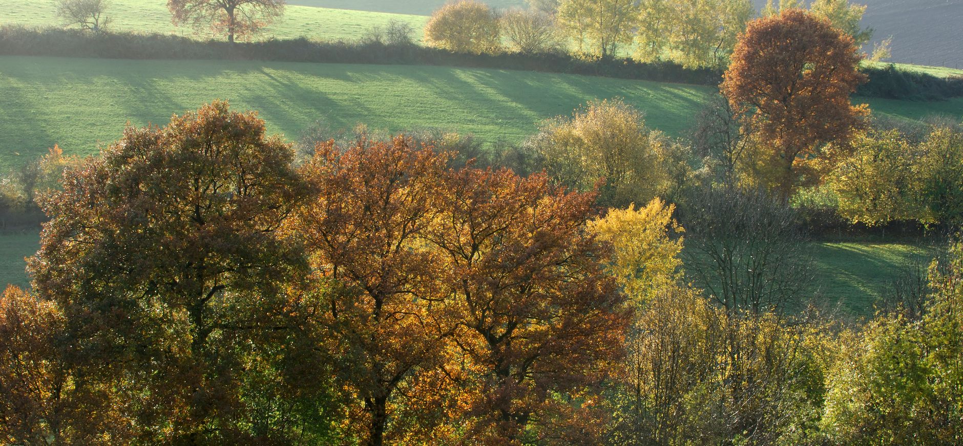 Natuurparel in het Zuiden Coulissenlandschap