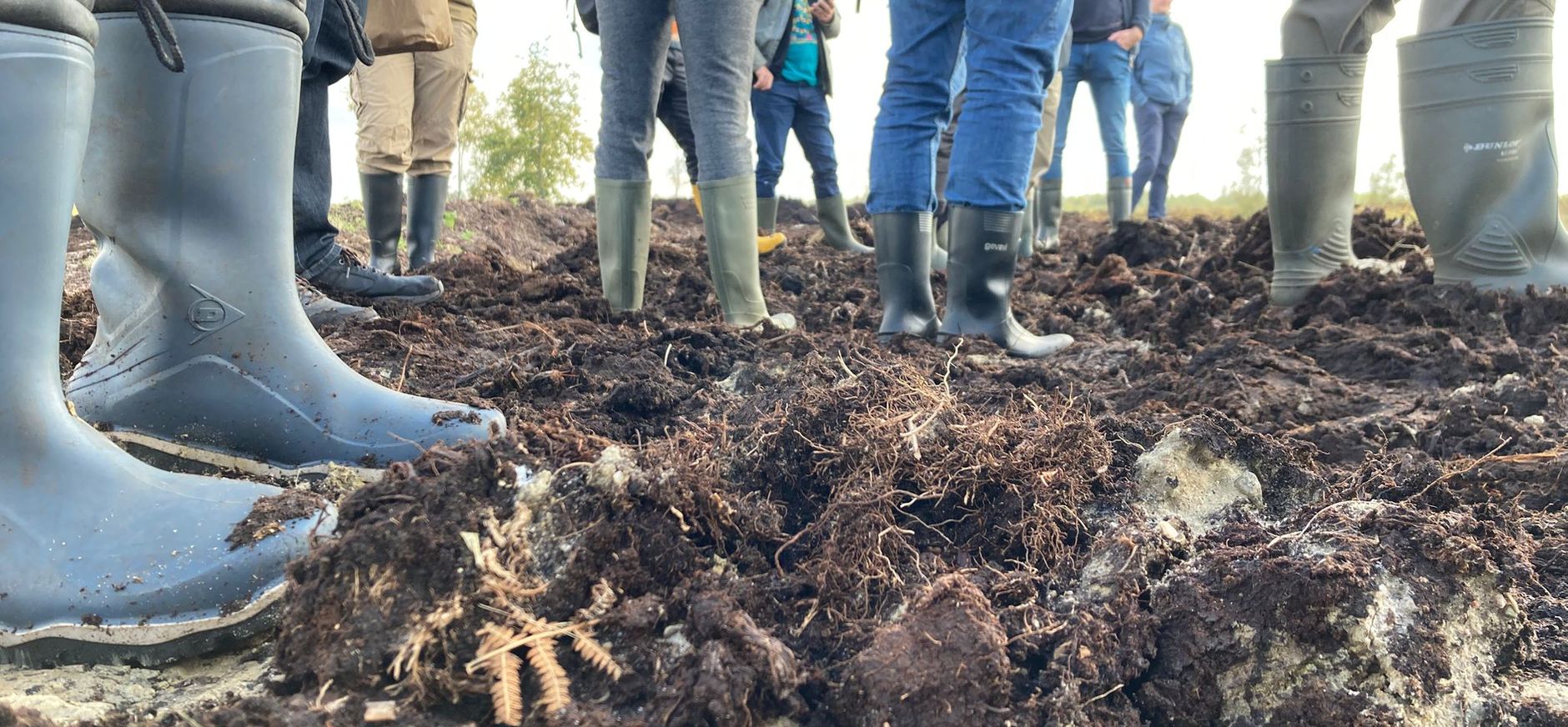 Peatland Perspectives