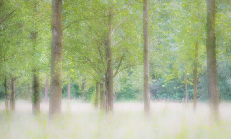 Populieren Populieren