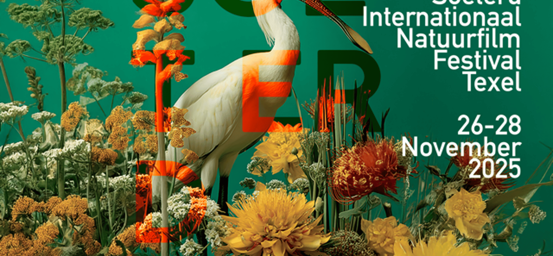 natuur en film natuurfilms op Texel