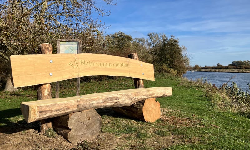 Boomstambank bij Koningssteen