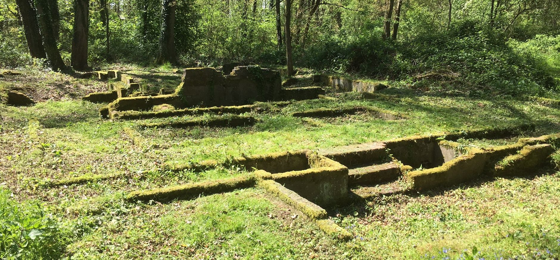 Fundamenten kassen Hassinkbos