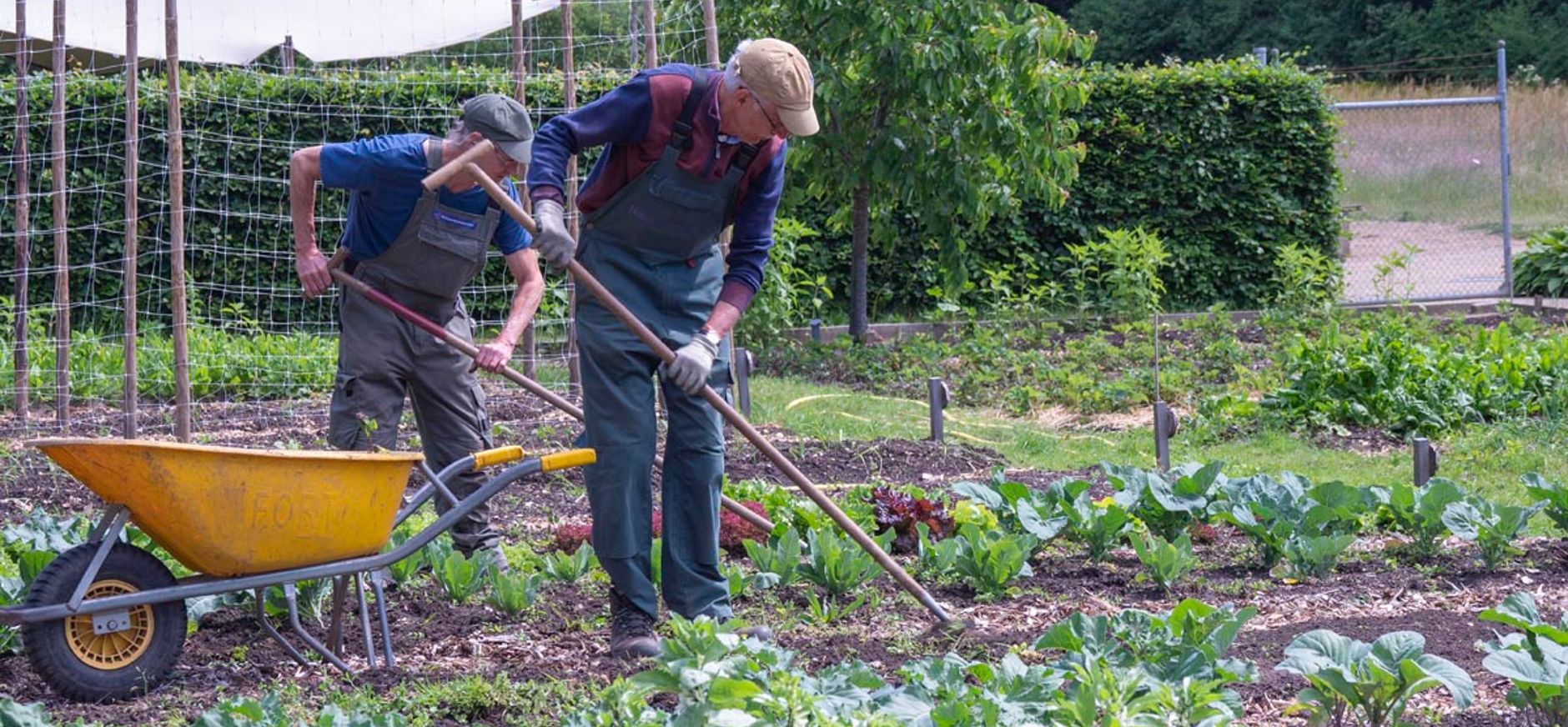 Werken in de tuin op Landgoed Mookerheide Werken in de tuin op Landgoed Mookerheide