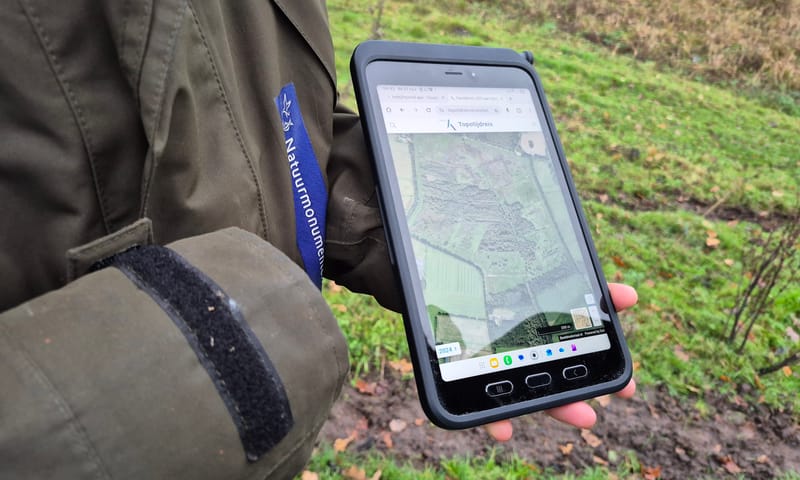 Begroeiing overstromingsvlakte Kampina