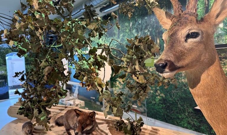 Expo Bezoekerscentrum Gooi en Vechtstreek