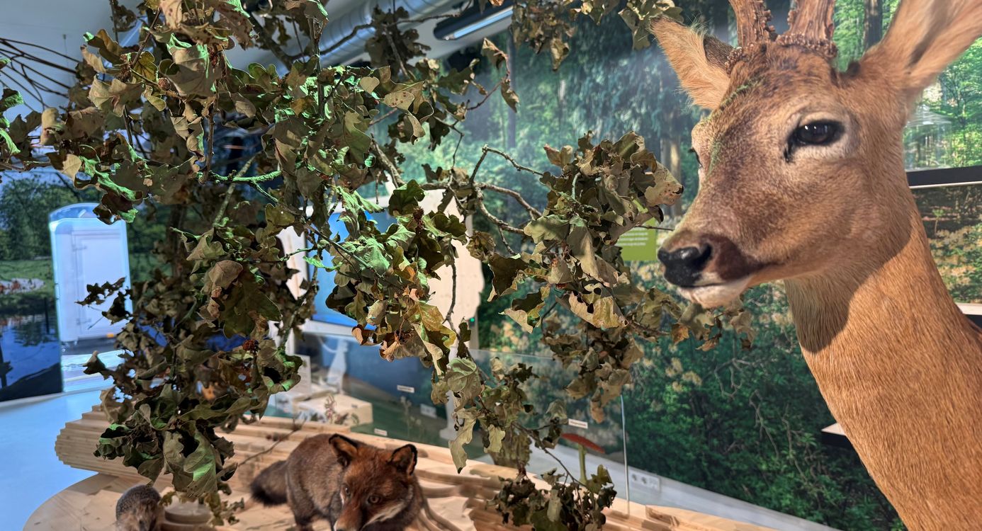 Expo Bezoekerscentrum Gooi en Vechtstreek Expo Bezoekerscentrum Gooi en Vechtstreek