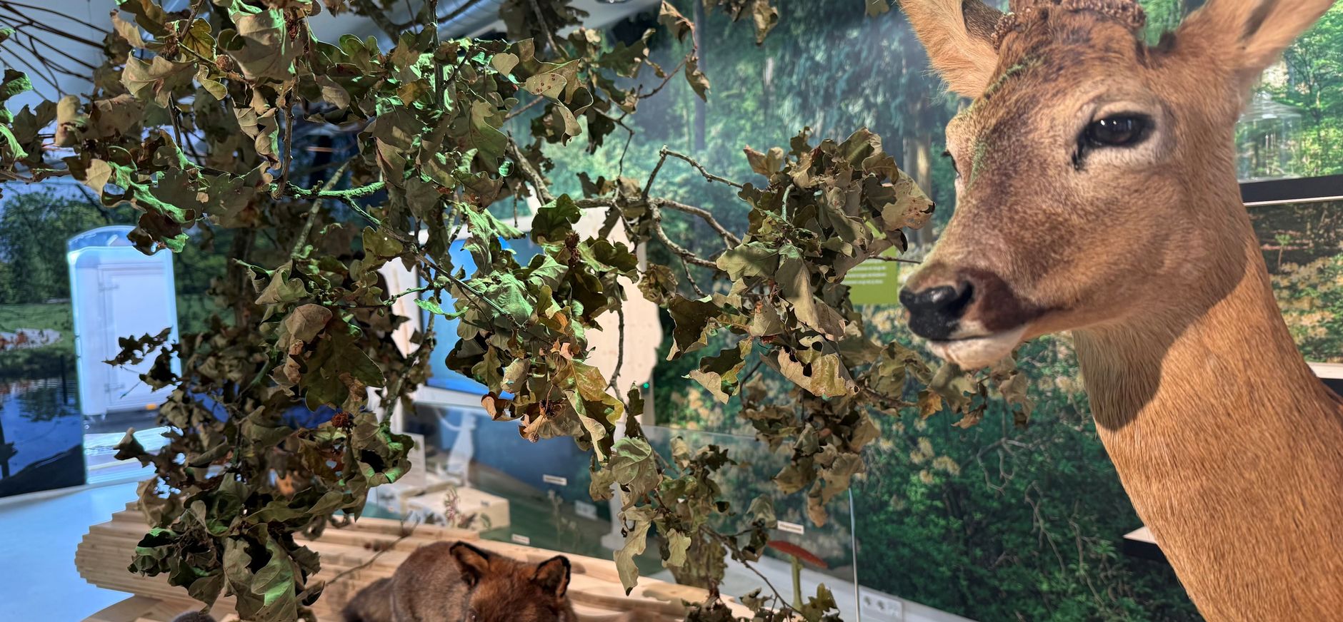 Expo Bezoekerscentrum Gooi en Vechtstreek