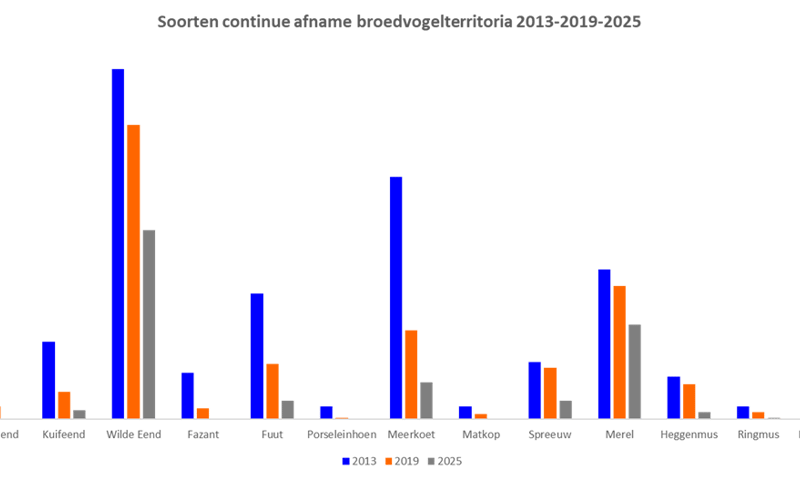Soorten broedvogelterritoria 2019-2025