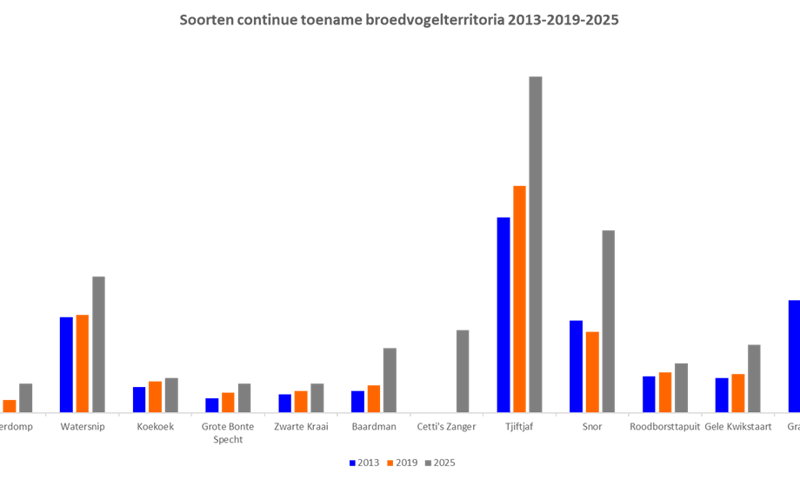 Broedvogeltelling, toename 2023-2019-2025