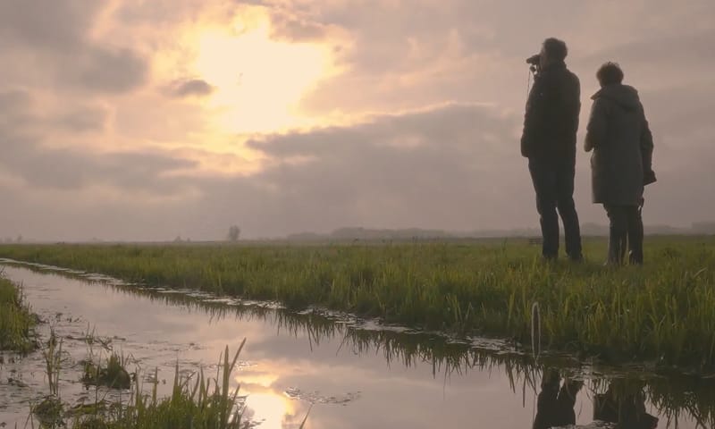 Filmen WOS Heleen Verduijn Dirk Kunst