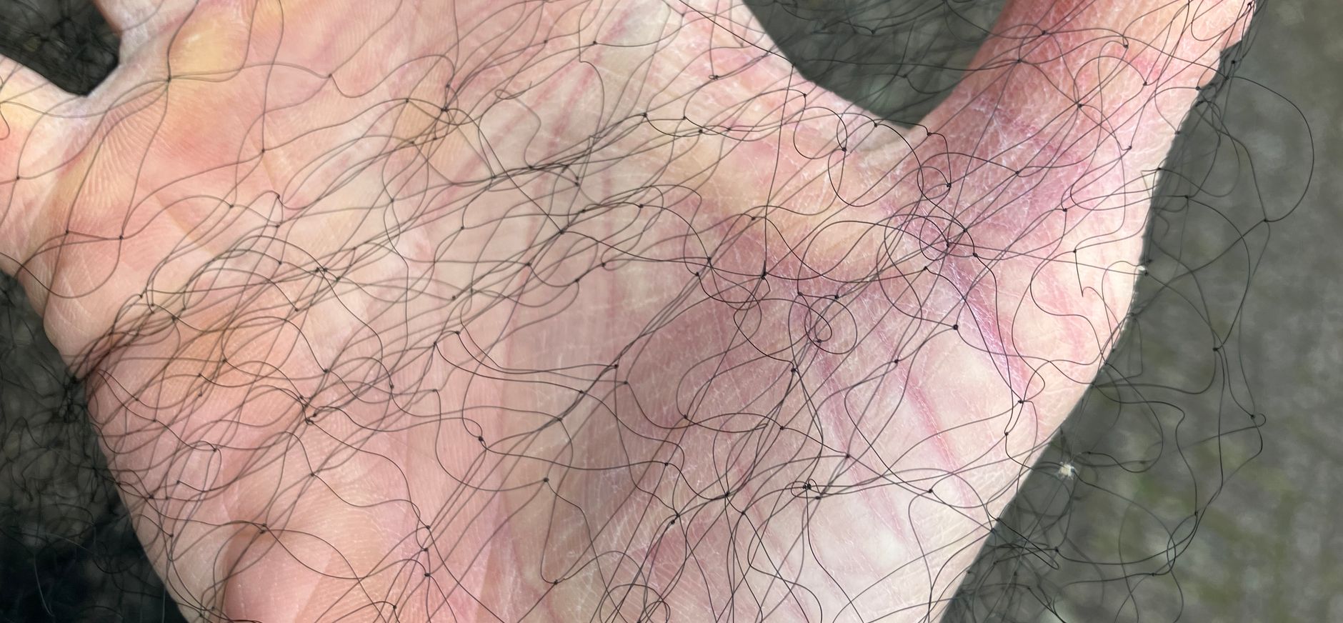 vangnet vogelstroperij