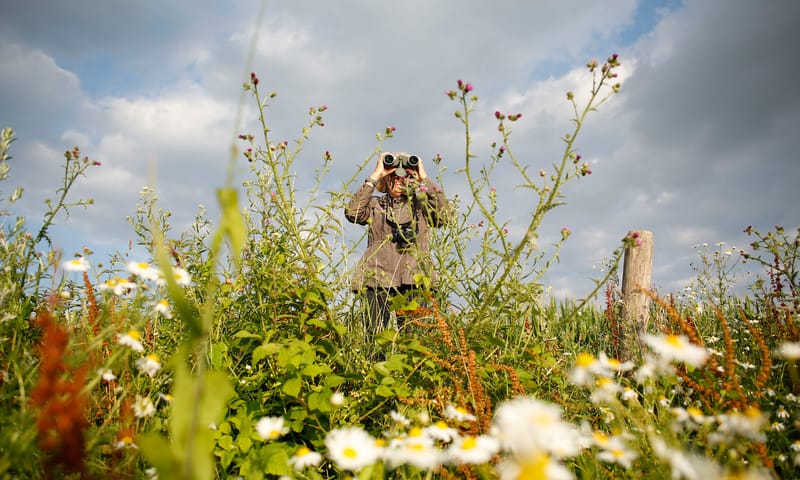 Persoon met verrekijker