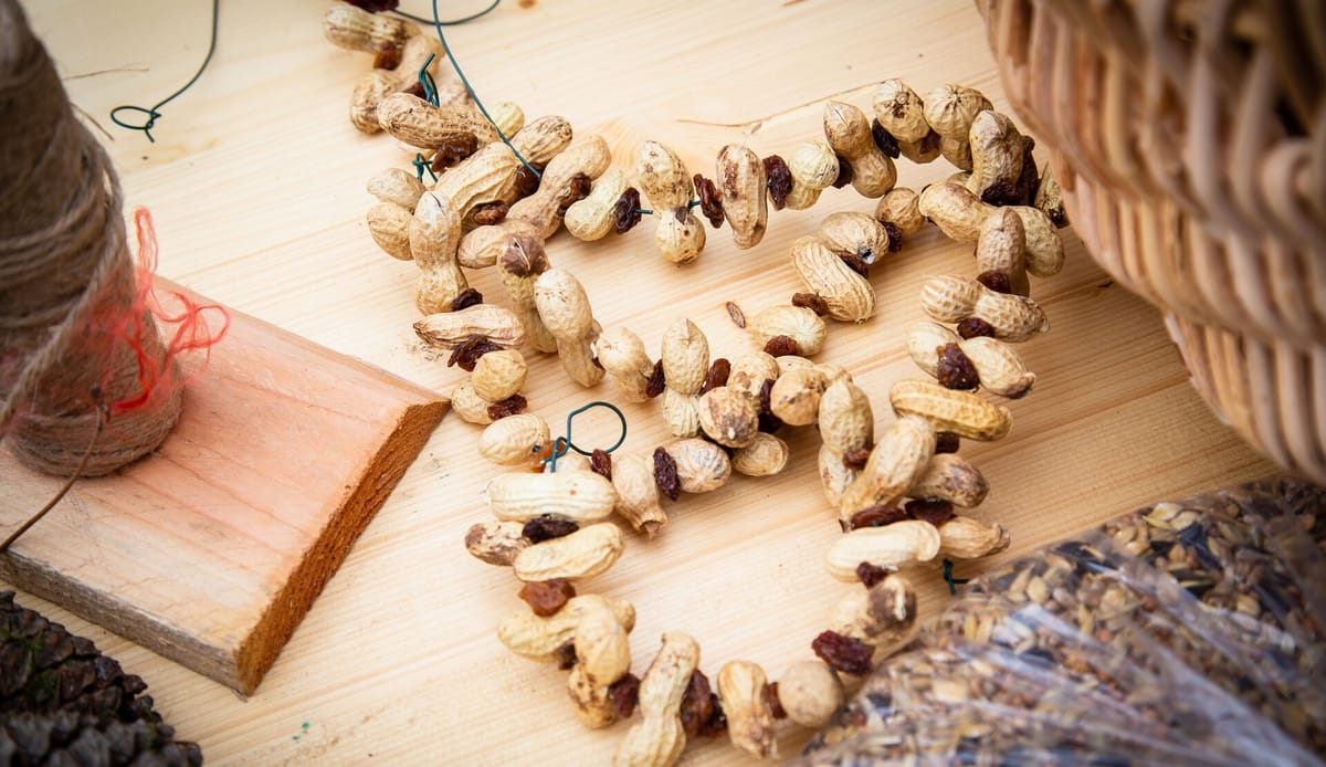 Knutselen in de winter