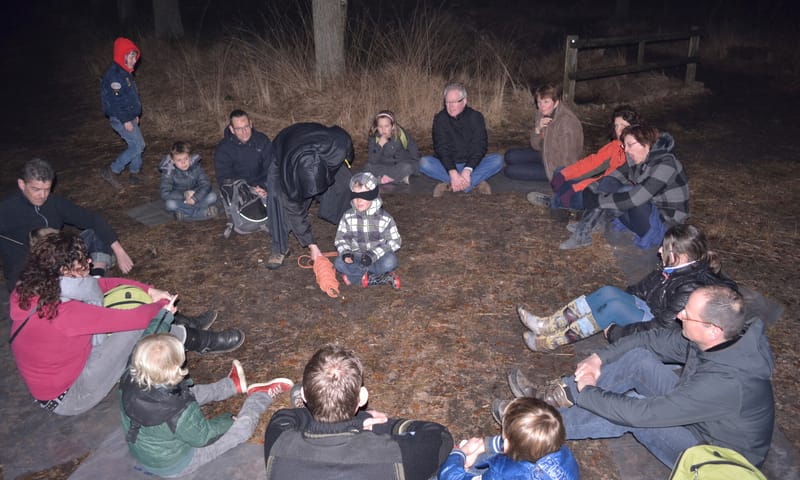 donkerbeleving bos